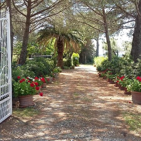 Campo Alle More Чечина Экстерьер фото
