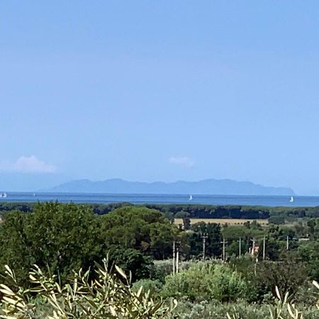 Campo Alle More Чечина Экстерьер фото