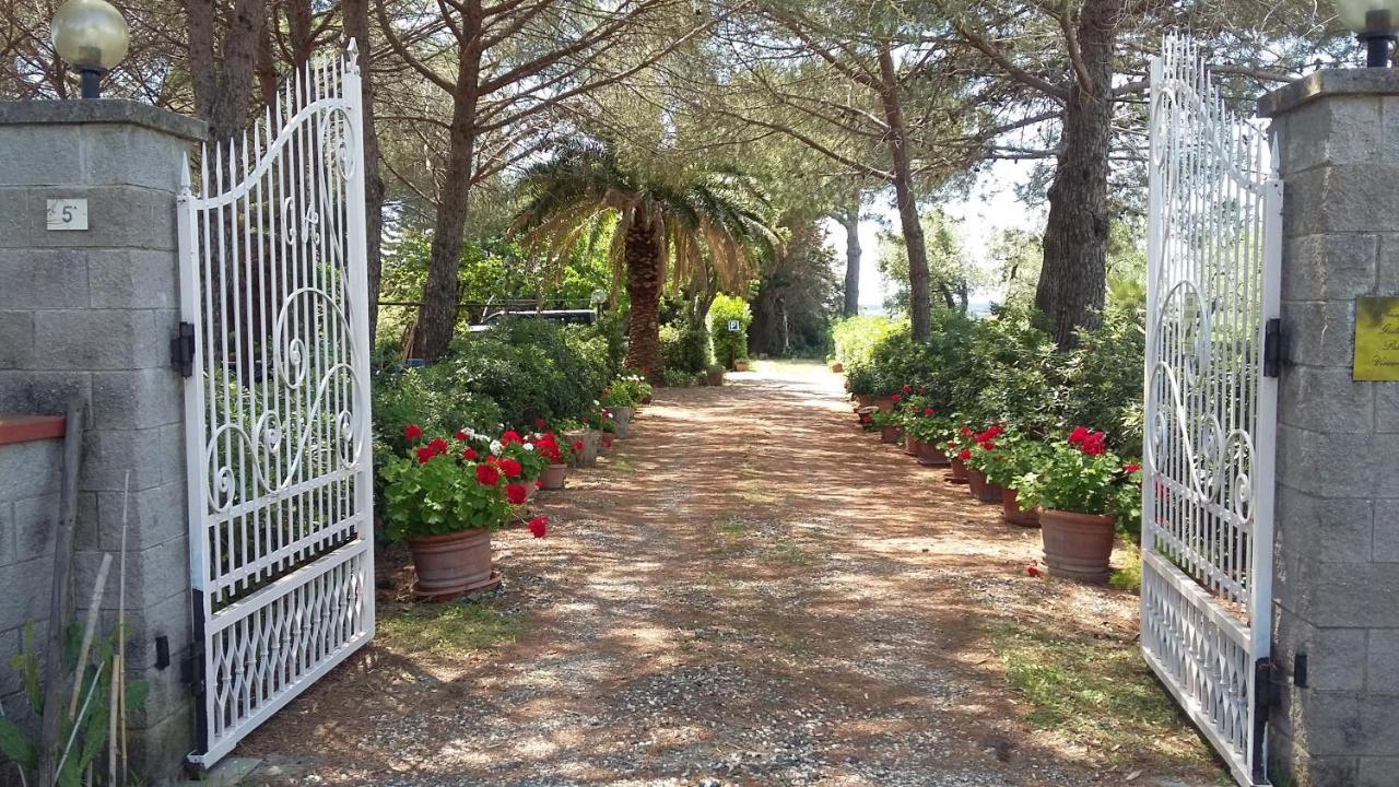 Campo Alle More Чечина Экстерьер фото