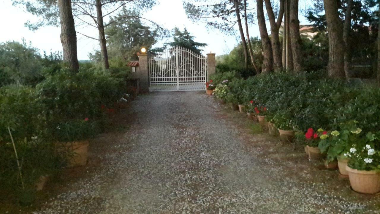 Campo Alle More Чечина Экстерьер фото