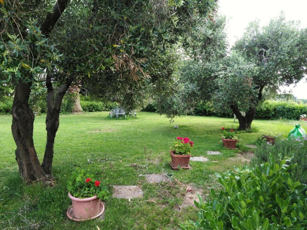 Campo Alle More Чечина Экстерьер фото