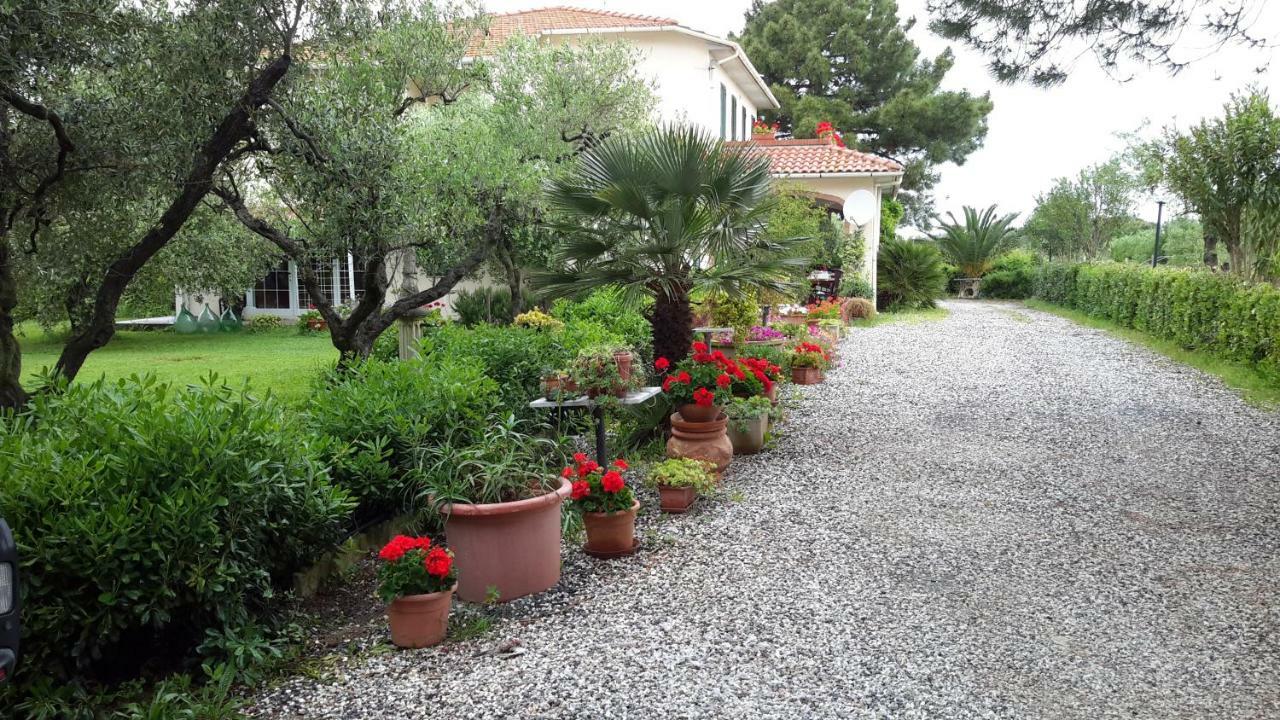 Campo Alle More Чечина Экстерьер фото
