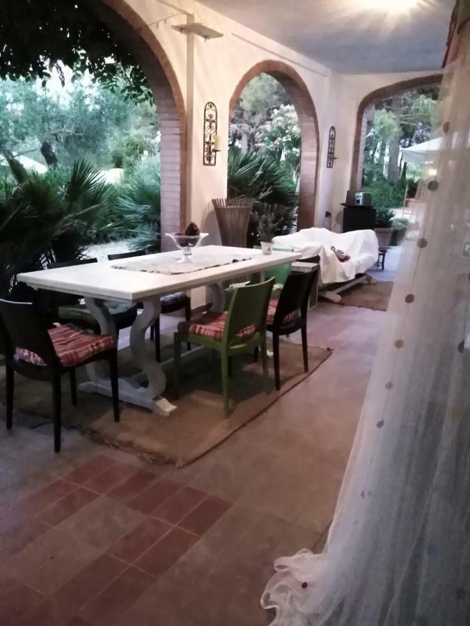 Campo Alle More Чечина Экстерьер фото